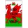 Keep Calm I'm Welsh - Jumbo Fridge Magnet