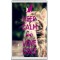 Keep Calm and Love Cats - Jumbo Fridge Magnet