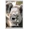 Keep Calm and Love a Koala - Jumbo Fridge Magnet