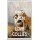 Keep Calm and Love Collies - Jumbo Fridge Magnet