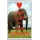 Keep Calm and Love Elephants - Jumbo Fridge Magnet