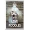 Keep Calm and Love Poodles - Jumbo Fridge Magnet