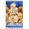 Keep Calm and Love Labradors - Jumbo Fridge Magnet