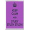 Keep Calm and Study Study Study! - Jumbo Fridge Magnet