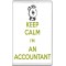 Keep Calm I'm an Accountant - Jumbo Fridge Magnet
