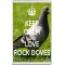 Keep Calm and Love Rock Doves - Jumbo Fridge Magnet