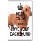 Keep Calm and Love your Dachshund - Jumbo Fridge Magnet