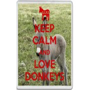 Keep Calm and Love Donkeys - Jumbo Fridge Magnet
