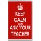 Keep Calm and Ask Your Teacher - Jumbo Fridge Magnet