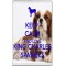 Keep Calm and Love King Charles Spaniels - Jumbo Fridge Magnet