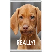Really! - Jumbo Fridge Magnet