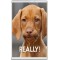 Really! - Jumbo Fridge Magnet