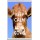 Keep Calm and Love Cows - Jumbo Fridge Magnet