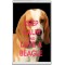 Keep Calm and Love a Beagle - Jumbo Fridge Magnet