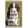 Keep Calm and Love Springer Spaniels - Jumbo Fridge Magnet