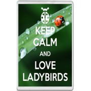 Keep Calm and Love Ladybirds - Jumbo Fridge Magnet