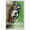 Keep Calm and Love Woodpeckers - Jumbo Fridge Magnet