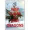 Keep Calm and Love Dragons - Jumbo Fridge Magnet