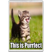 This is Purrfect - Jumbo Fridge Magnet