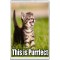 This is Purrfect - Jumbo Fridge Magnet