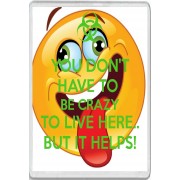 You Don't have to be Crazy to Live Here But It Helps! - Jumbo Fridge Magnet