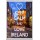 Keep Calm and Love Ireland - Jumbo Fridge Magnet