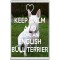 Keep Calm and Love an English Bull Terrier - Jumbo Fridge Magnet