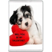 Will You be My Valentine? - Jumbo Fridge Magnet