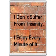 I Don't Suffer from Insanity. I Enjoy Every Minute of It - Jumbo Fridge Magnet