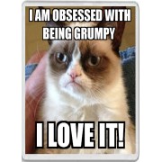 I am Obsessed with Being Grumpy I Love It! - Jumbo Fridge Magnet
