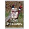 Keep Calm and Love Pheasants - Jumbo Fridge Magnet