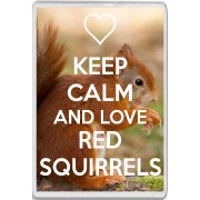 Keep Calm and Love Red Squirrels - Jumbo Fridge Magnet