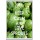 Keep Calm and Love Sprouts - Jumbo Fridge Magnet