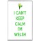 I Can't Keep Calm I'm Welsh - Jumbo Fridge Magnet