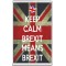 Keep Calm Brexit Means Brexit - Jumbo Fridge Magnet