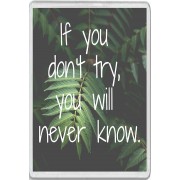 If you don't try, you will never know. - Jumbo Fridge Magnet