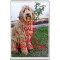 Keep Calm and Love a Labradoodle - Jumbo Fridge Magnet