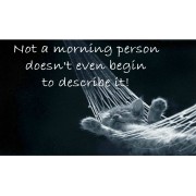 Not a morning person doesn't even begin to describe it!