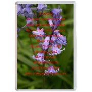 A Friend Someone touched my soul  today and made me realise that we........