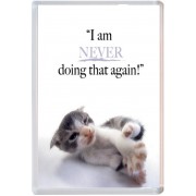 I am NEVER doing that again