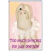 Too much princess for just one boy!