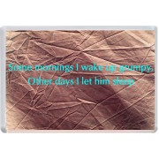 Some mornings I wake up grumpy, Other days I let him sleep