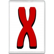 Red Letter X