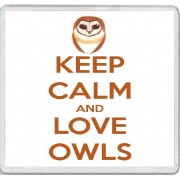 Keep Calm and Love Owls - Large Coaster