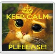 Keep Calm Pleeese! - Large Coaster