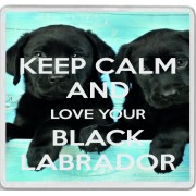 Keep Calm and Love Your Black Labrador - Large Coaster