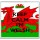 Keep Calm I'm Welsh - Large Coaster
