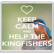 Keep Calm and Help the Kingfishers - Large Coaster
