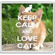 Keep Calm and Love Cats - Large Coaster 