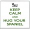 Keep Calm and Hug Your Spaniel - Large Coaster